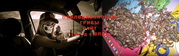 jwh Алексеевка