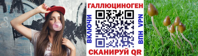 hydra рабочий сайт Бирюч Галлюциногенные грибы Cubensis